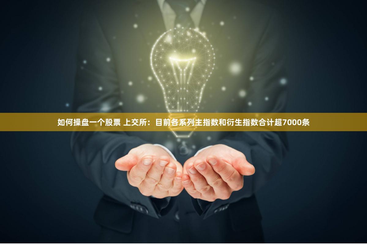 如何操盘一个股票 上交所：目前各系列主指数和衍生指数合计超7000条