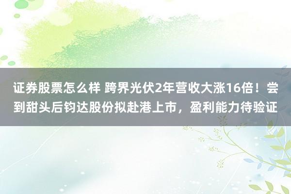 证券股票怎么样 跨界光伏2年营收大涨16倍！尝到甜头后钧达股份拟赴港上市，盈利能力待验证