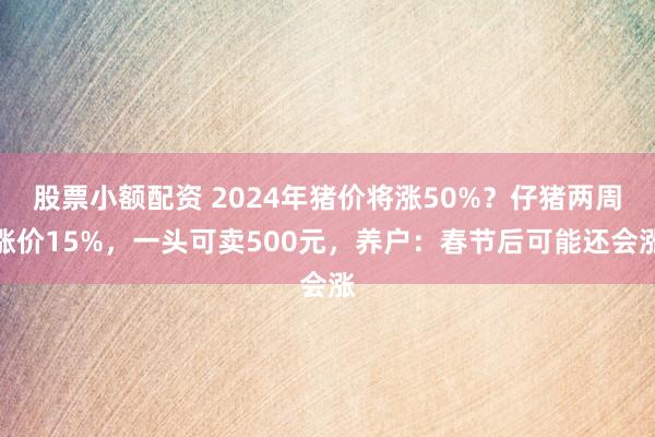 股票小额配资 2024年猪价将涨50%？仔猪两周涨价15%，一头可卖500元，养户：春节后可能还会涨