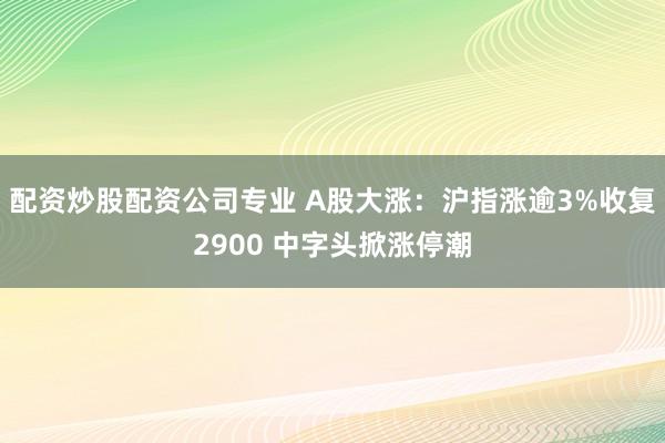 配资炒股配资公司专业 A股大涨：沪指涨逾3%收复2900 中字头掀涨停潮