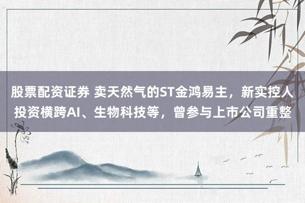 股票配资证券 卖天然气的ST金鸿易主，新实控人投资横跨AI、生物科技等，曾参与上市公司重整