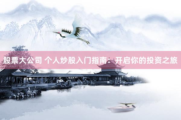 股票大公司 个人炒股入门指南：开启你的投资之旅